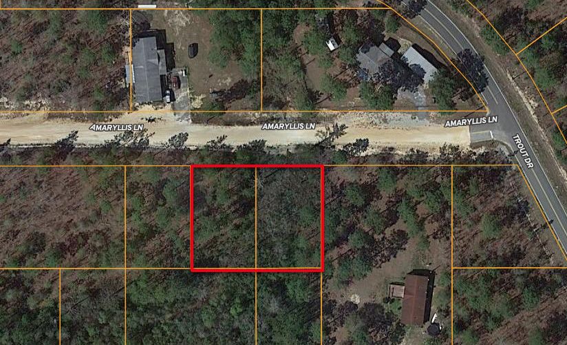 Defuniak Springs, Walton County, FL Recreational Property, Undeveloped