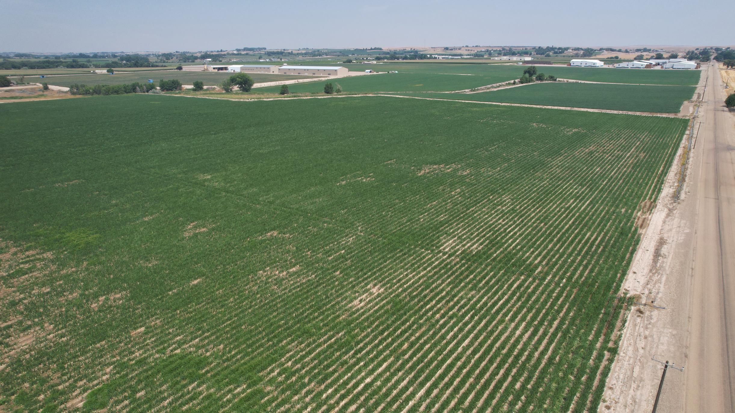 Parma, Canyon County, ID Farms and Ranches, Undeveloped Land for sale