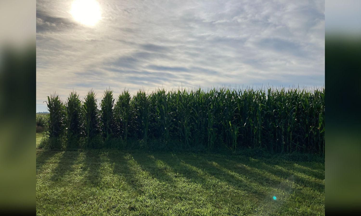 Stratford, Hamilton County, IA Farms and Ranches for sale Property ID 414397147 LandWatch