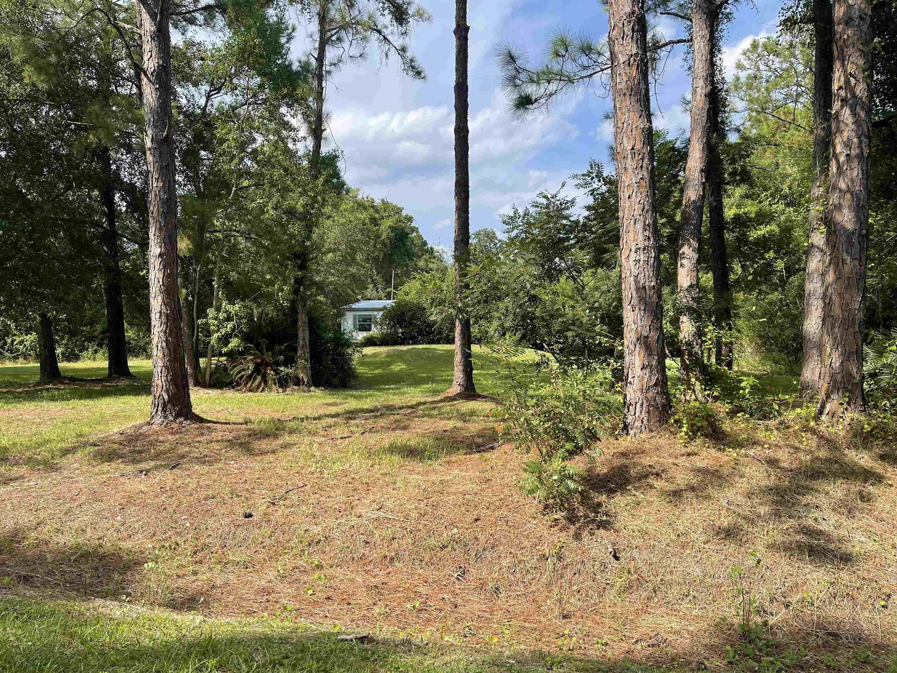 St Augustine, Saint Johns County, FL Farms and Ranches, Homesites for