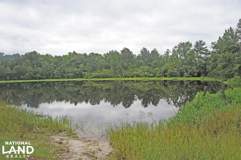 44580 Ebenezer Rd., SC 29512 LandWatch
