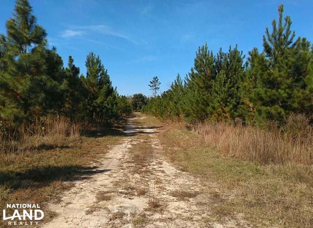 Columbia, Henry County, AL Recreational Property, Timberland Property