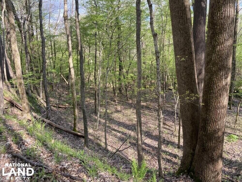 Sardis, Panola County, MS Recreational Property, Timberland Property, Hunting Property for sale