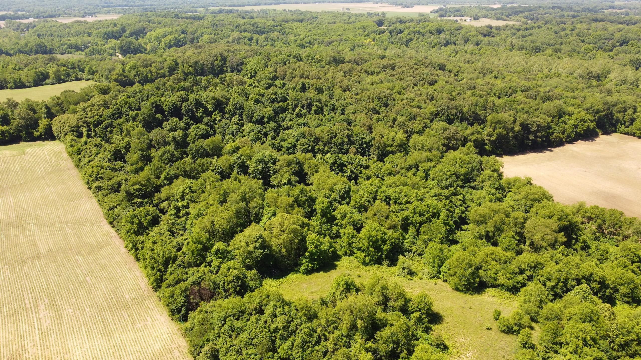 Logansport, Cass County, IN Recreational Property, Timberland Property, Hunting Property for