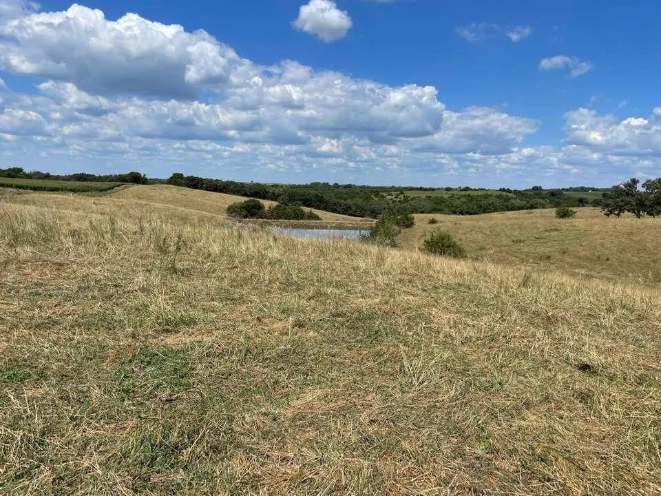 Guss, Taylor County, IA Farms and Ranches, Horse Property for sale Property ID 414577389