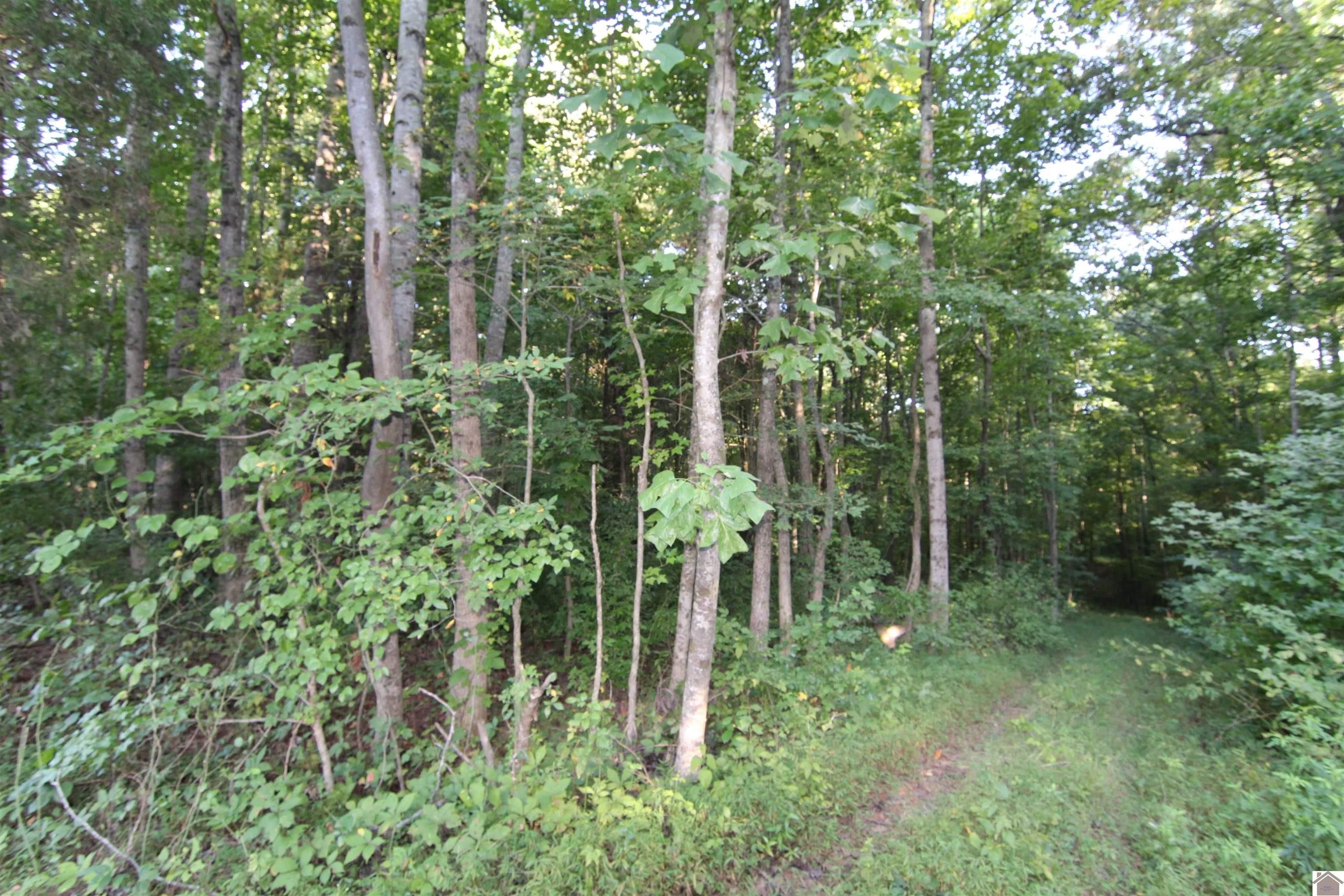 Murray, Calloway County, KY Undeveloped Land, Homesites for sale