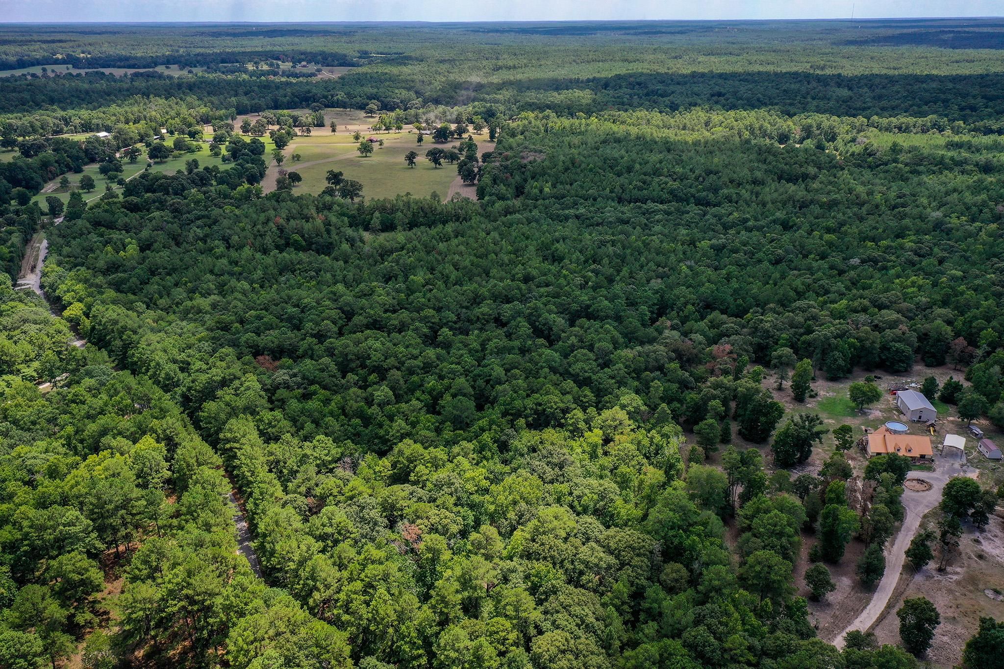 Huntsville, Walker County, TX Recreational Property, Hunting Property