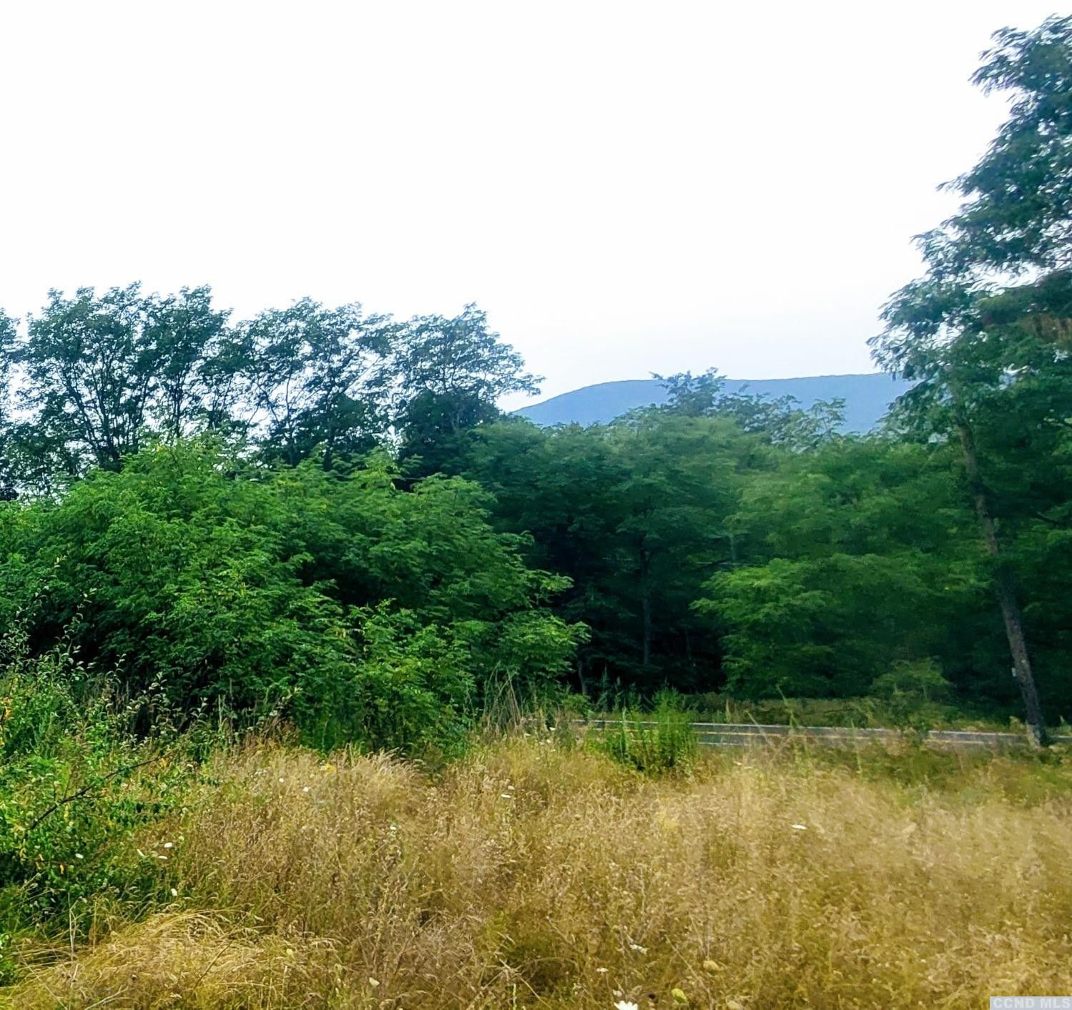 Cairo, Greene County, NY House for sale Property ID 414581238 LandWatch