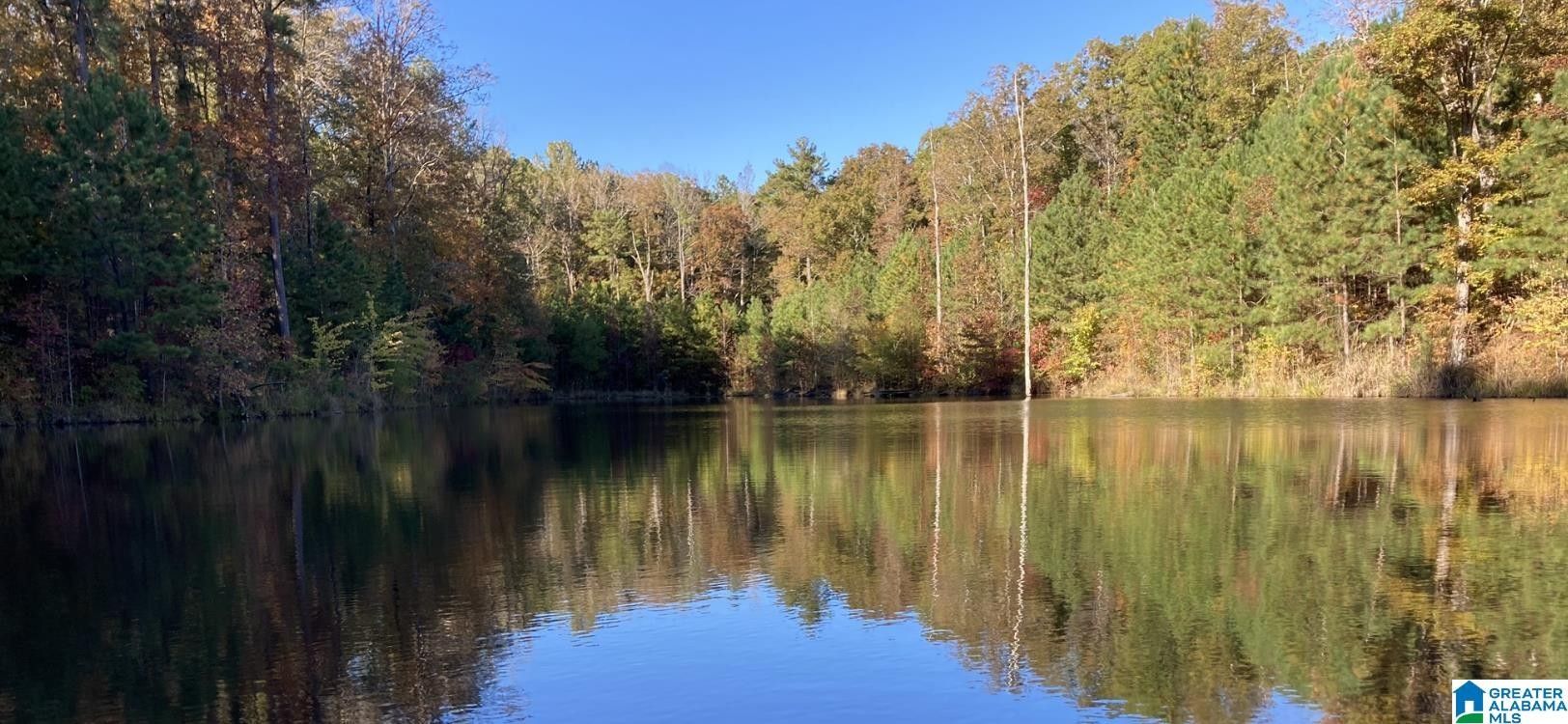 Odenville, Saint Clair County, AL Undeveloped Land, Lakefront Property