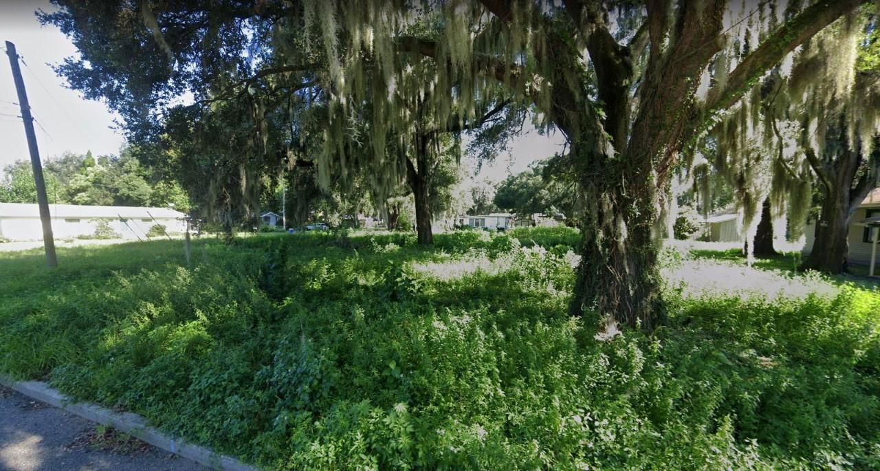 Bartow, Polk County, FL Recreational Property, Undeveloped Land, Homesites for sale Property ID