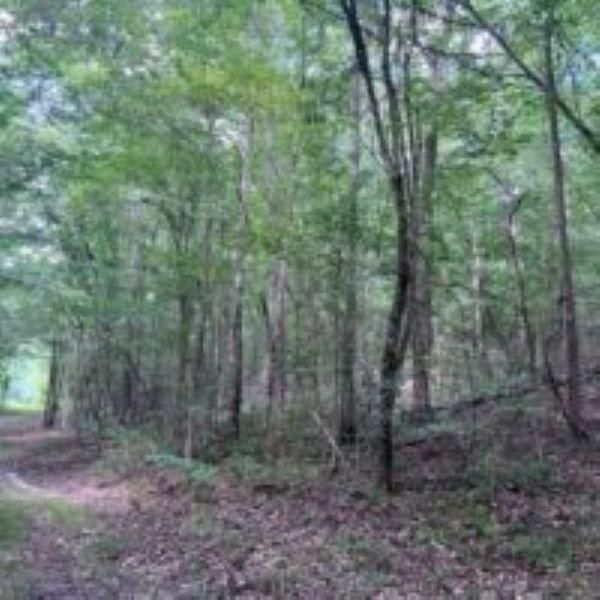 Troy, Pike County, AL Hunting Property, Riverfront Property, Waterfront