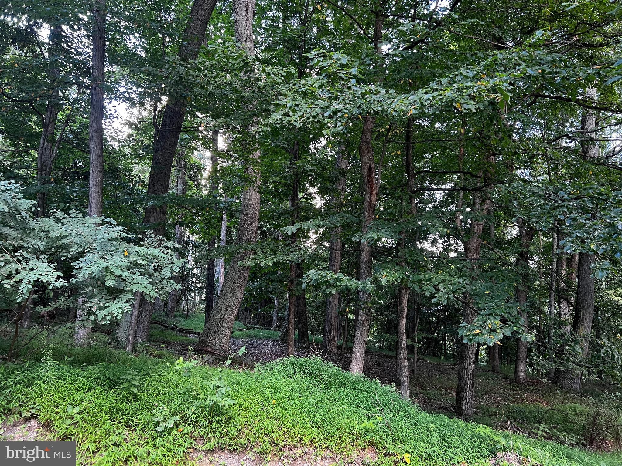 Old Fields, Hardy County, WV Undeveloped Land for sale Property ID