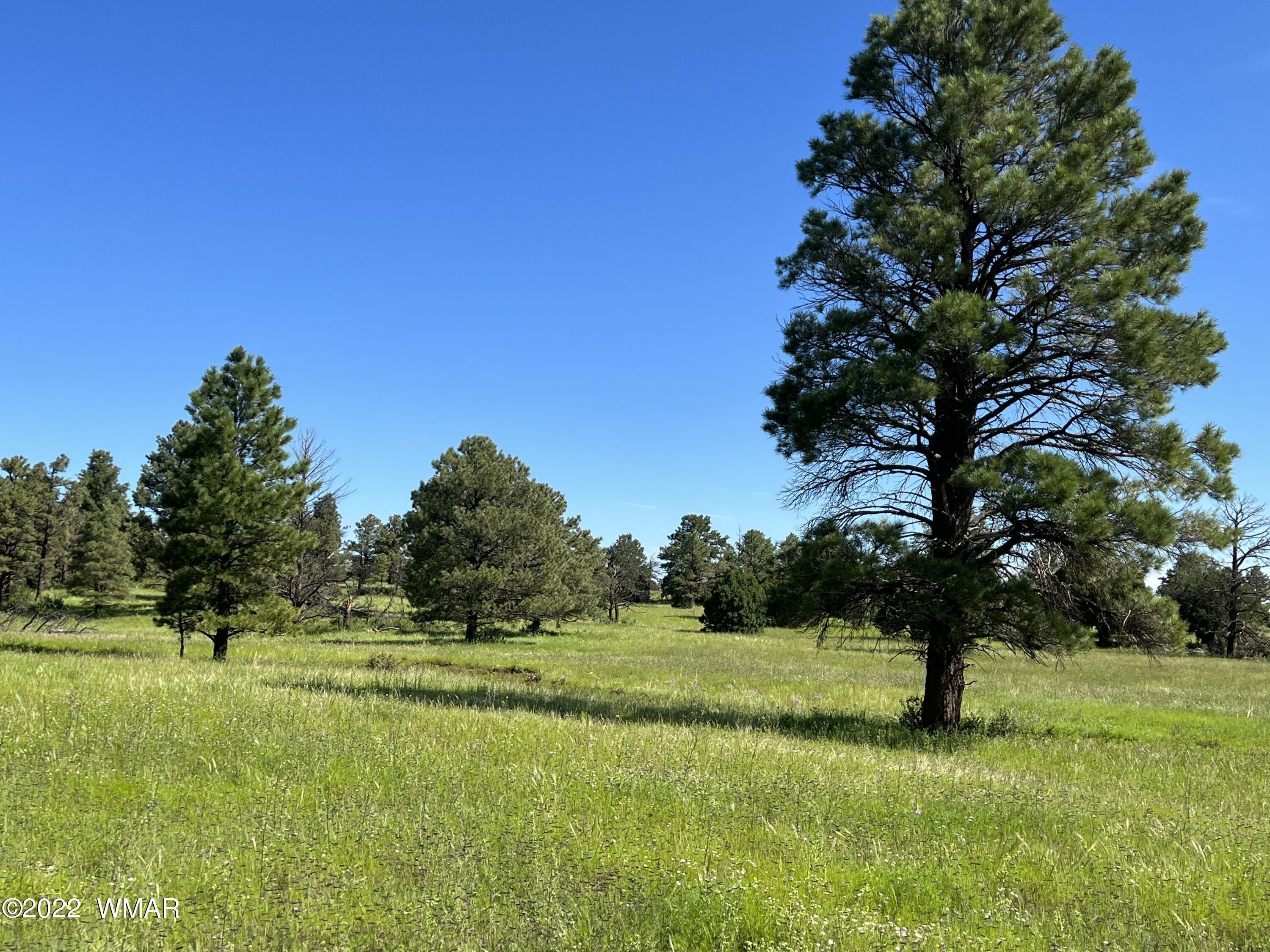 Greer, Apache County, AZ for sale Property ID 414585505 LandWatch