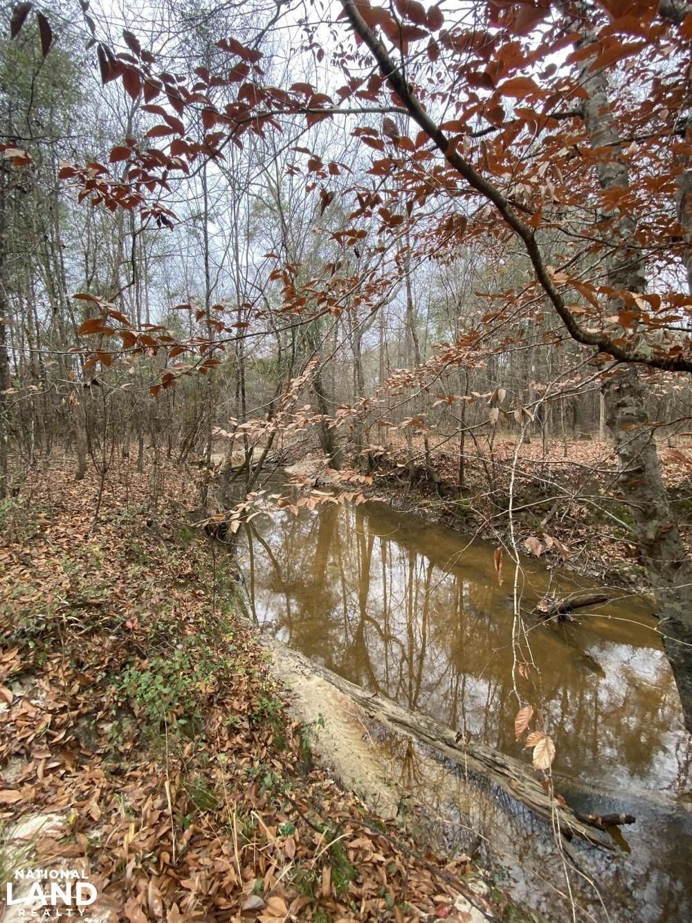 Hatchechubbee, Russell County, AL Recreational Property, Timberland