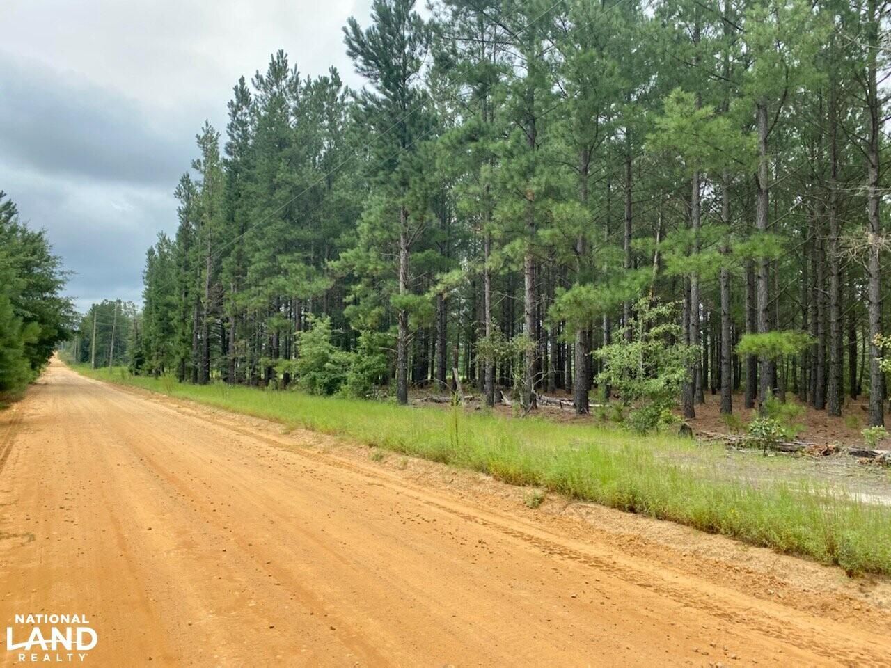 Batesburg, Aiken County, SC Recreational Property, Undeveloped Land