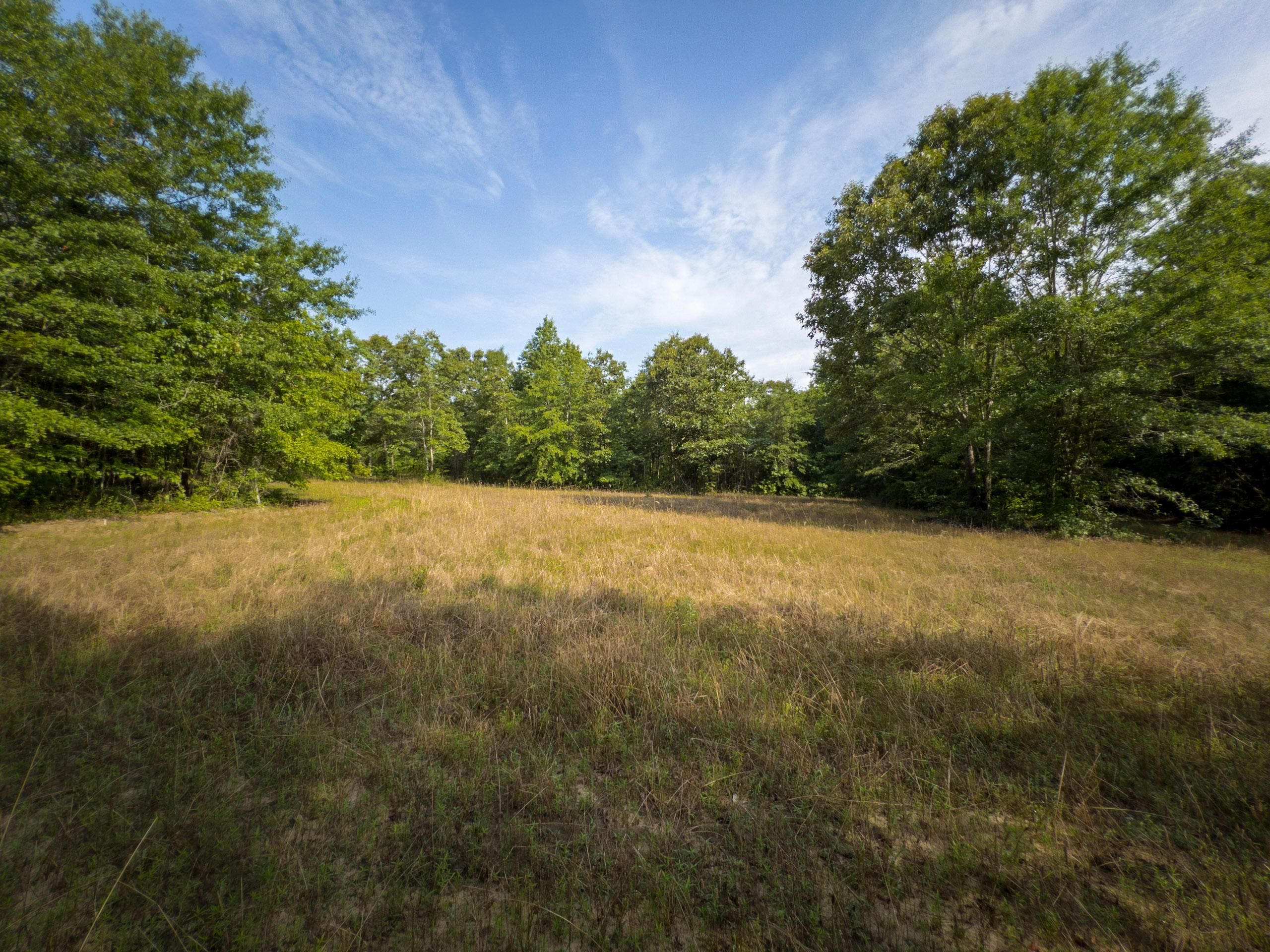 Macon, Jones County, GA Recreational Property, Timberland Property