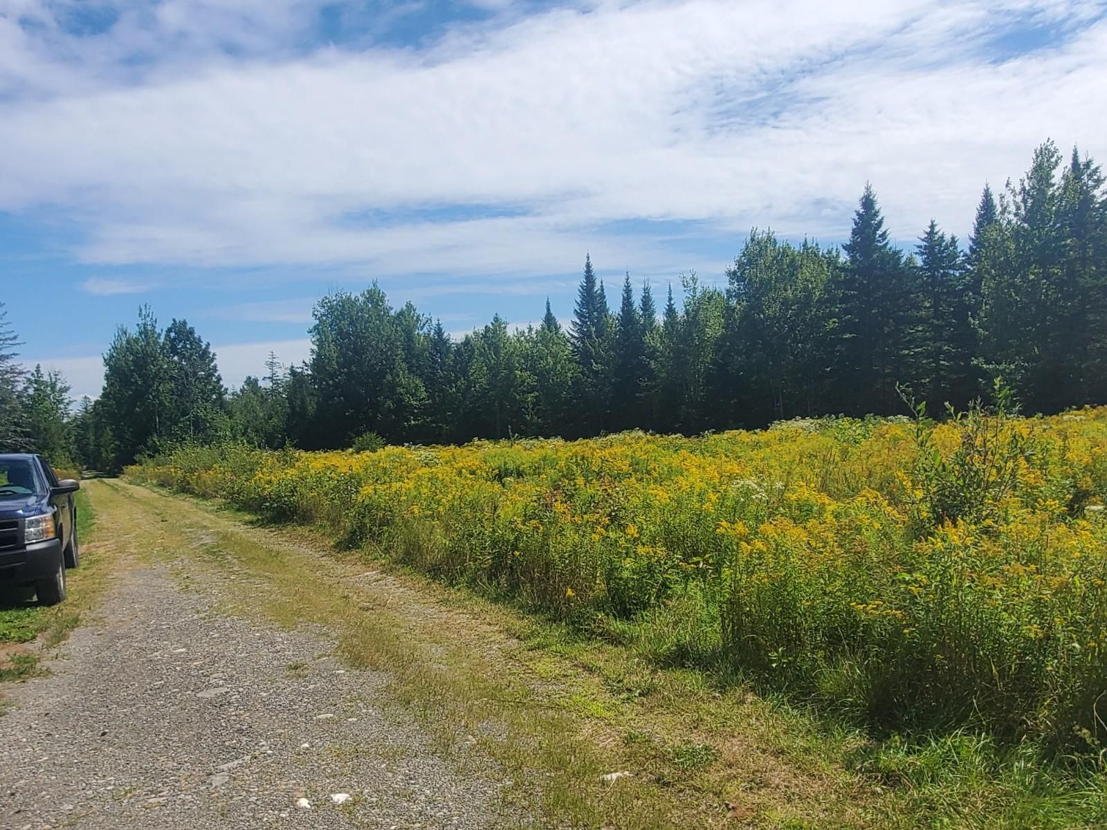 Amity, Aroostook County, ME Recreational Property for sale Property ID