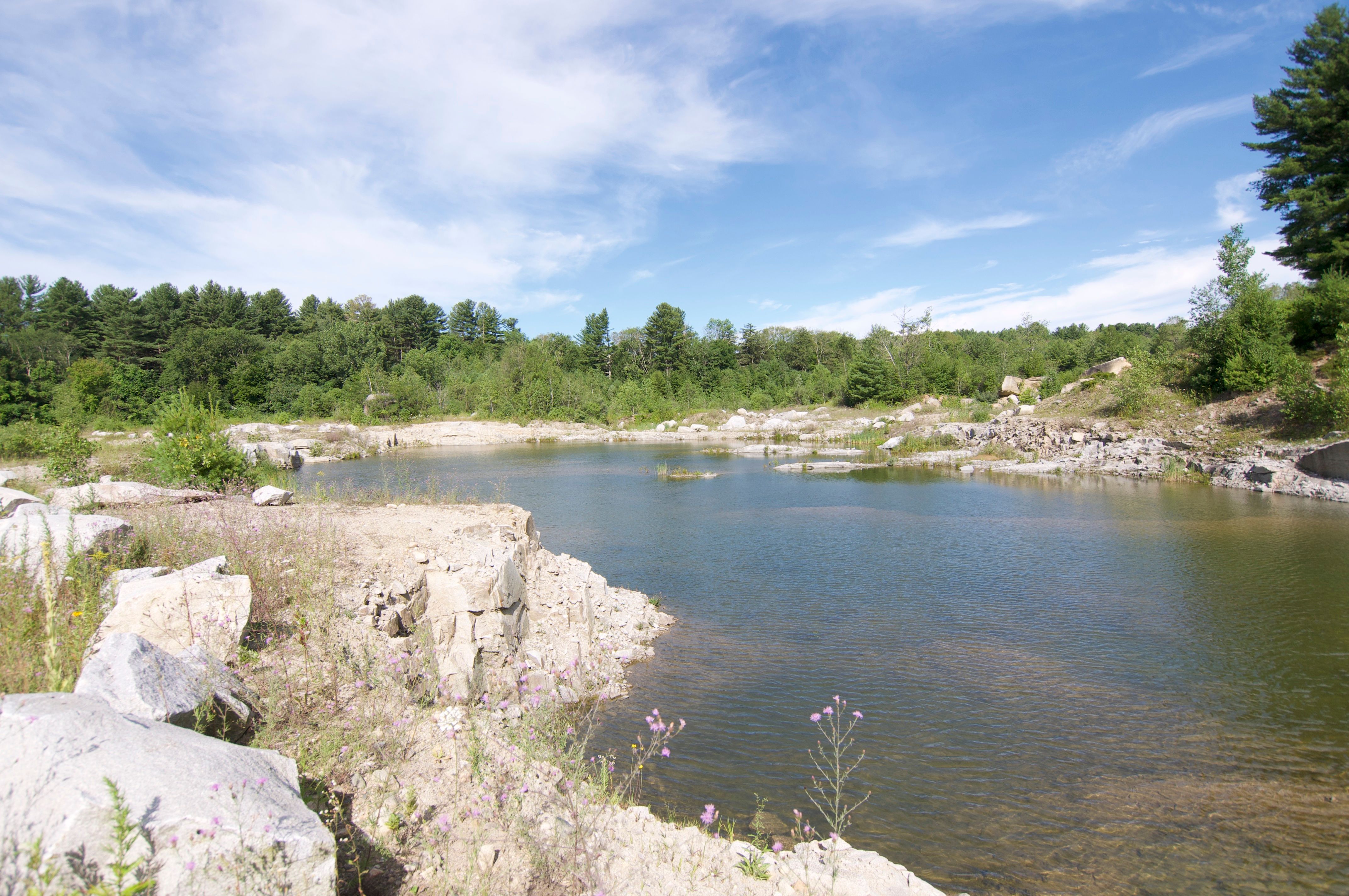 Goshen, Litchfield County, CT Undeveloped Land for sale Property ID