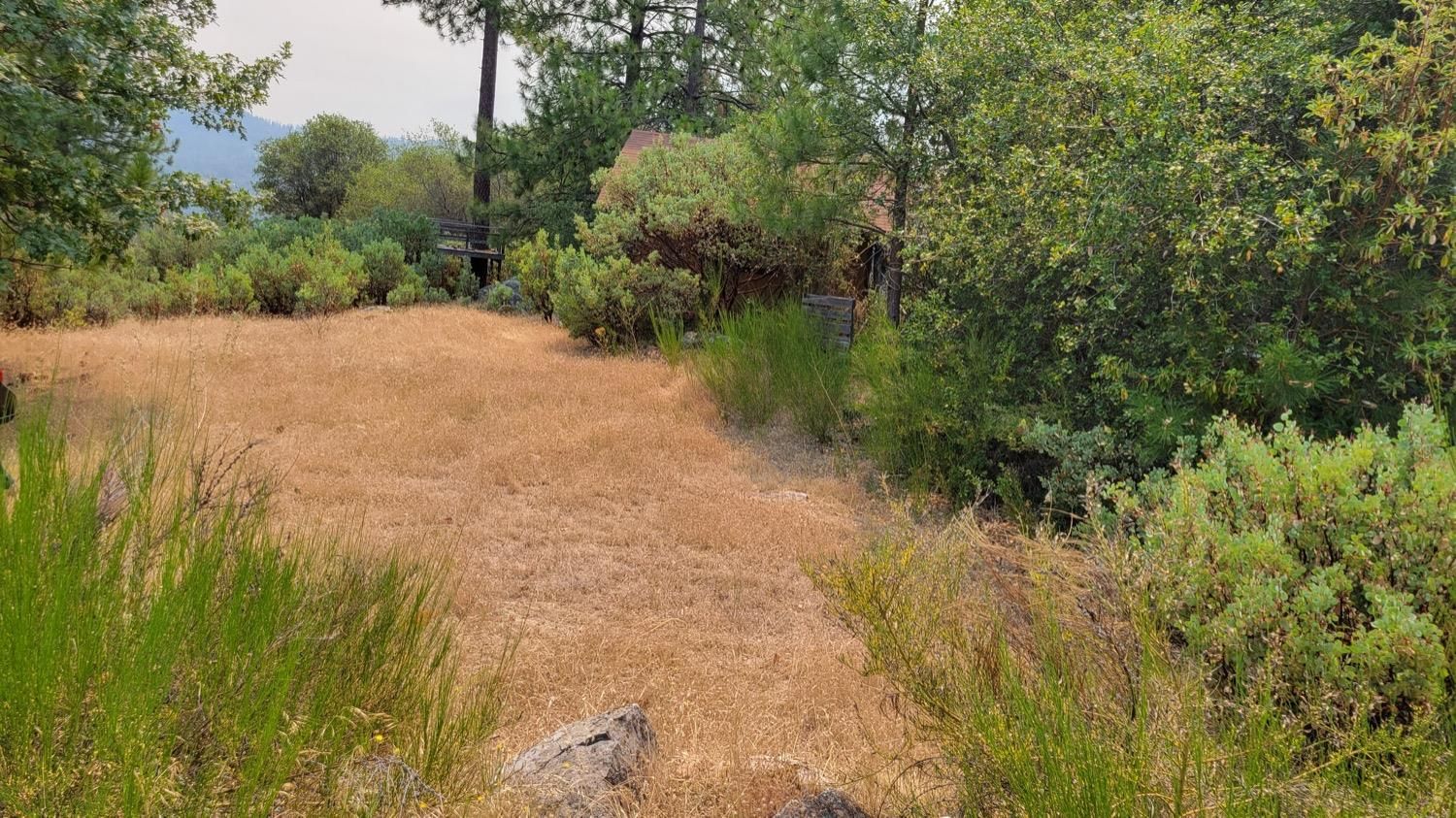 Placerville, El Dorado County, CA Undeveloped Land for sale Property ID