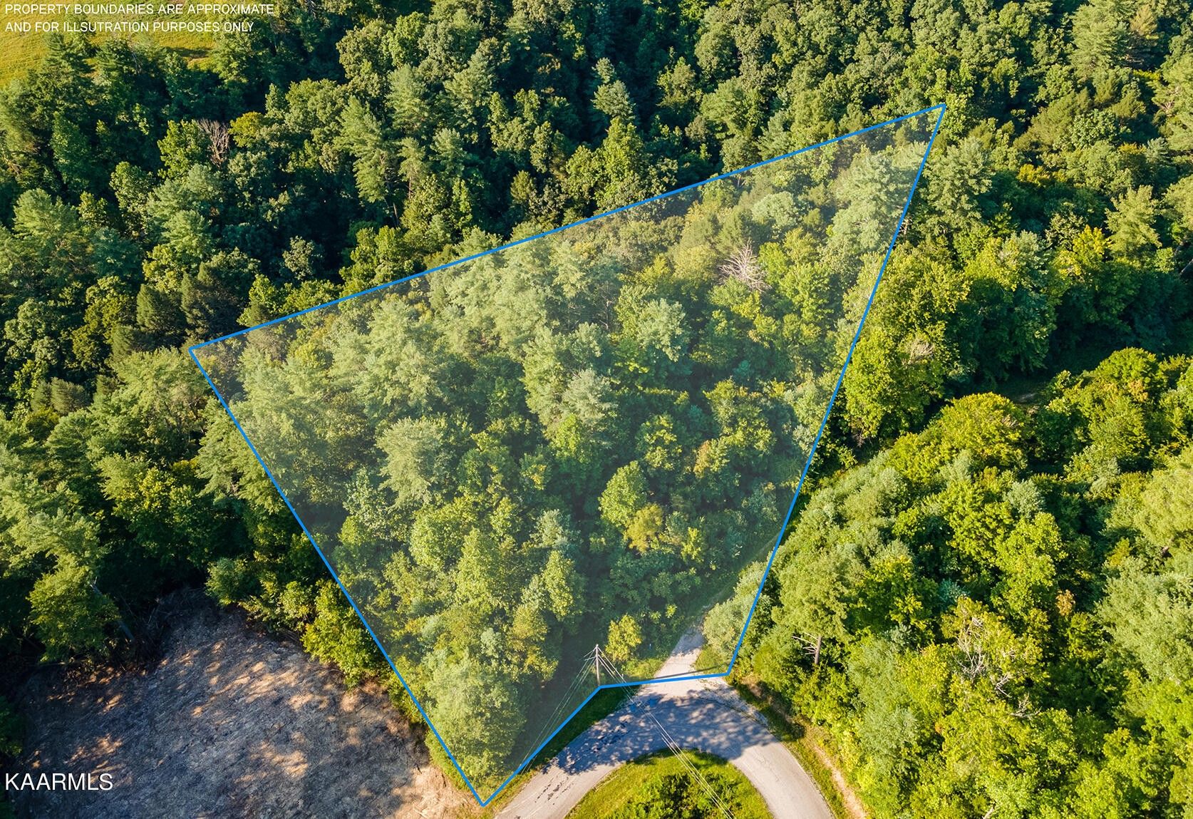 Harriman, County, TN Undeveloped Land, Homesites for sale