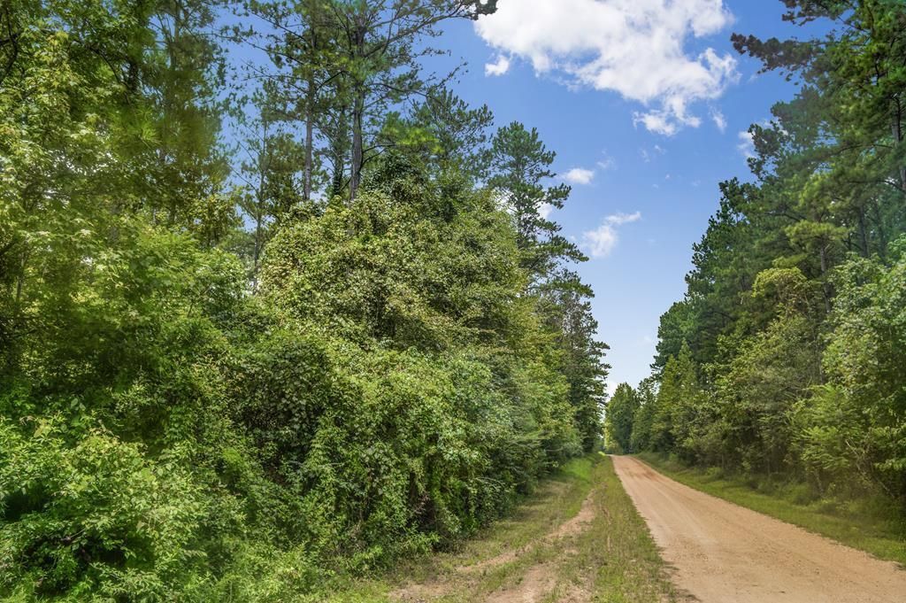 Brookhaven, Lincoln County, MS Recreational Property, Timberland