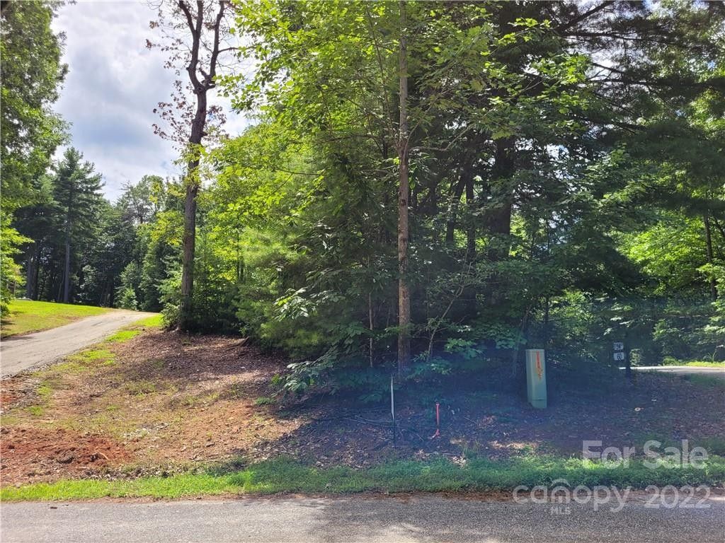 Saluda, Polk County, NC Undeveloped Land for sale Property ID