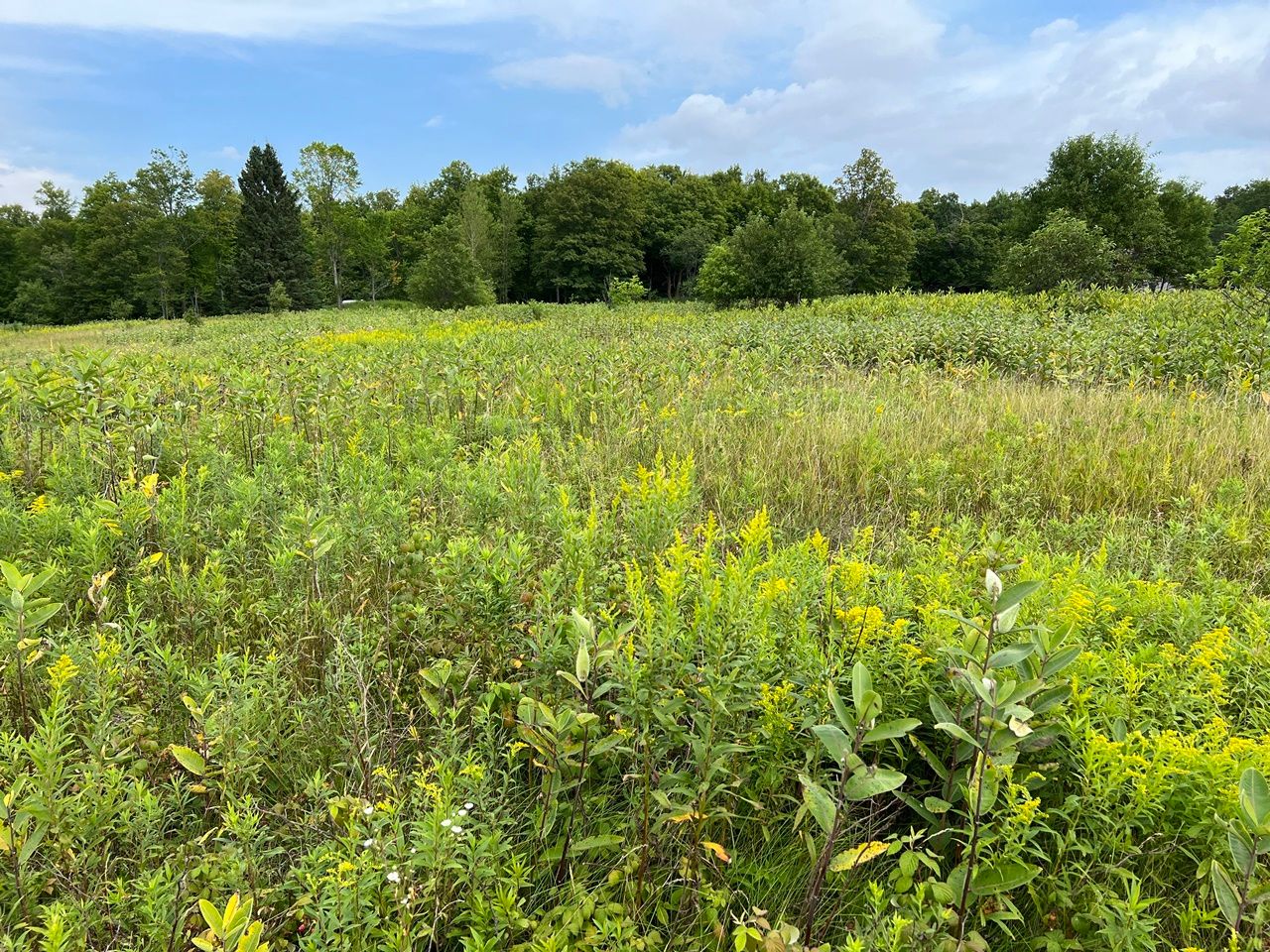 Mercer, Ashland County, WI Undeveloped Land, Homesites for sale