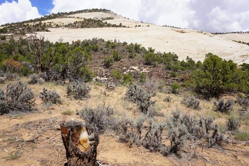 Boulder, Garfield County, UT Recreational Property, Undeveloped Land