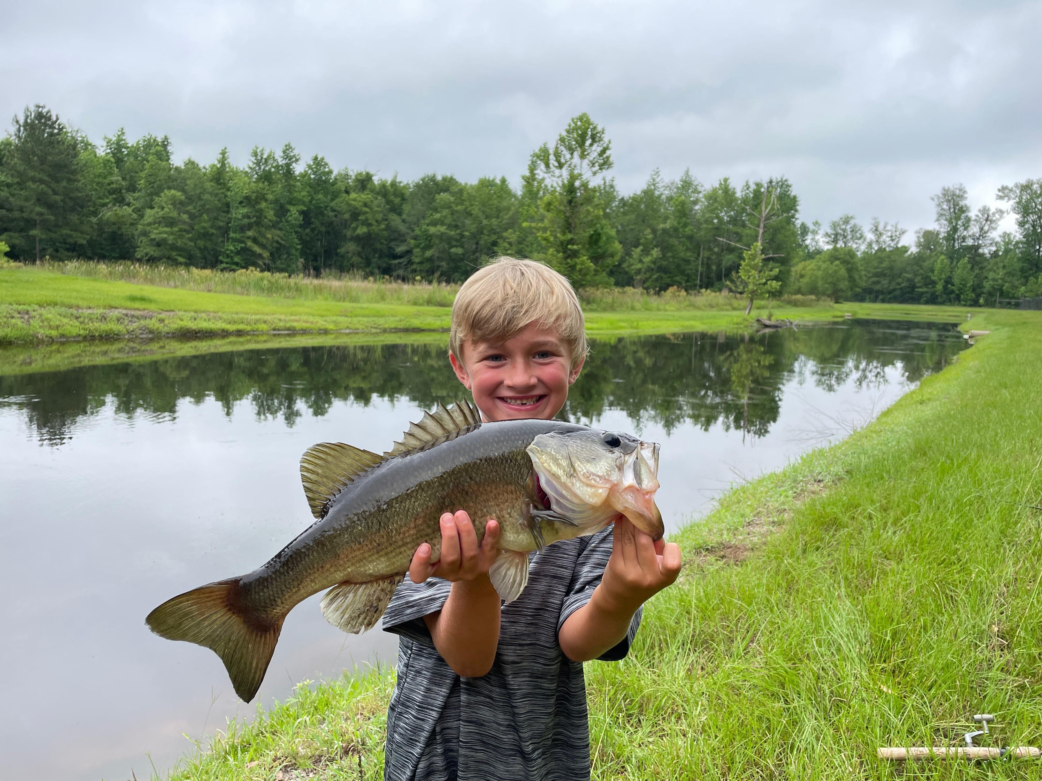 175 acres in Smoaks, SC, 29481 LandWatch