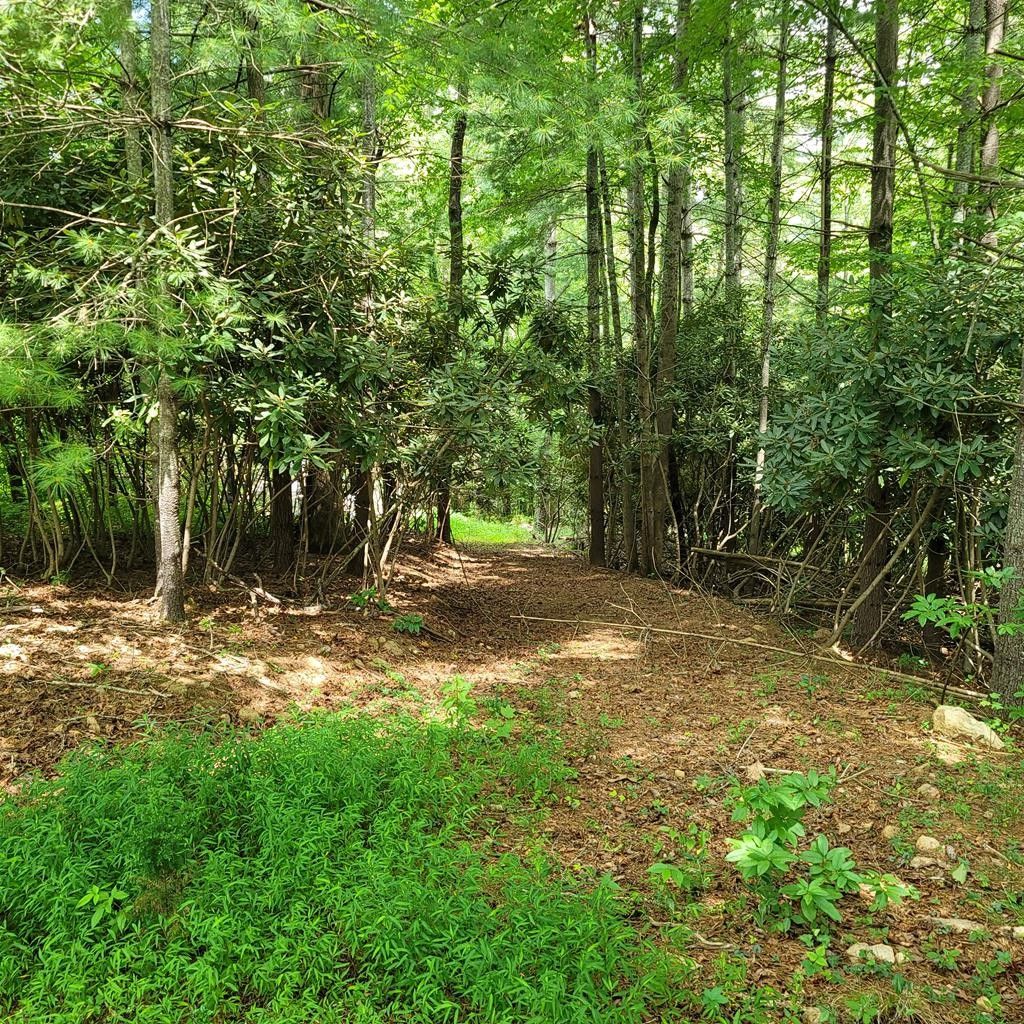 Franklin, Macon County, NC Undeveloped Land, Homesites for sale