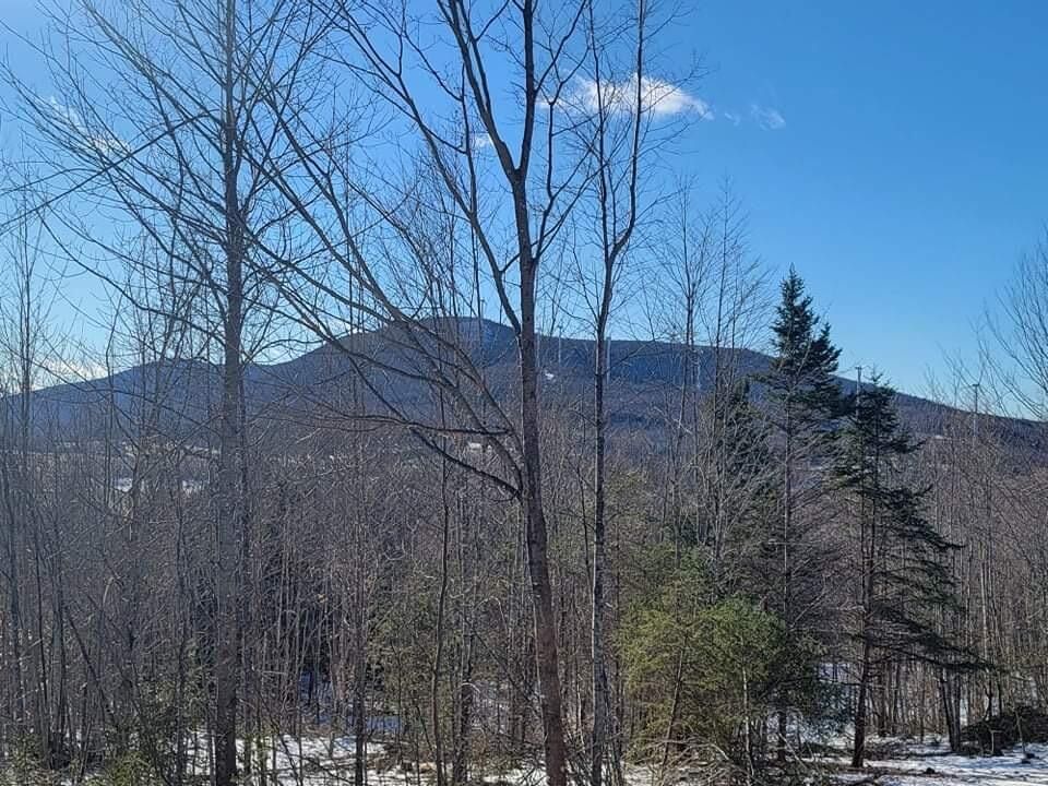 Mars Hill, Aroostook County, ME Undeveloped Land for sale Property ID