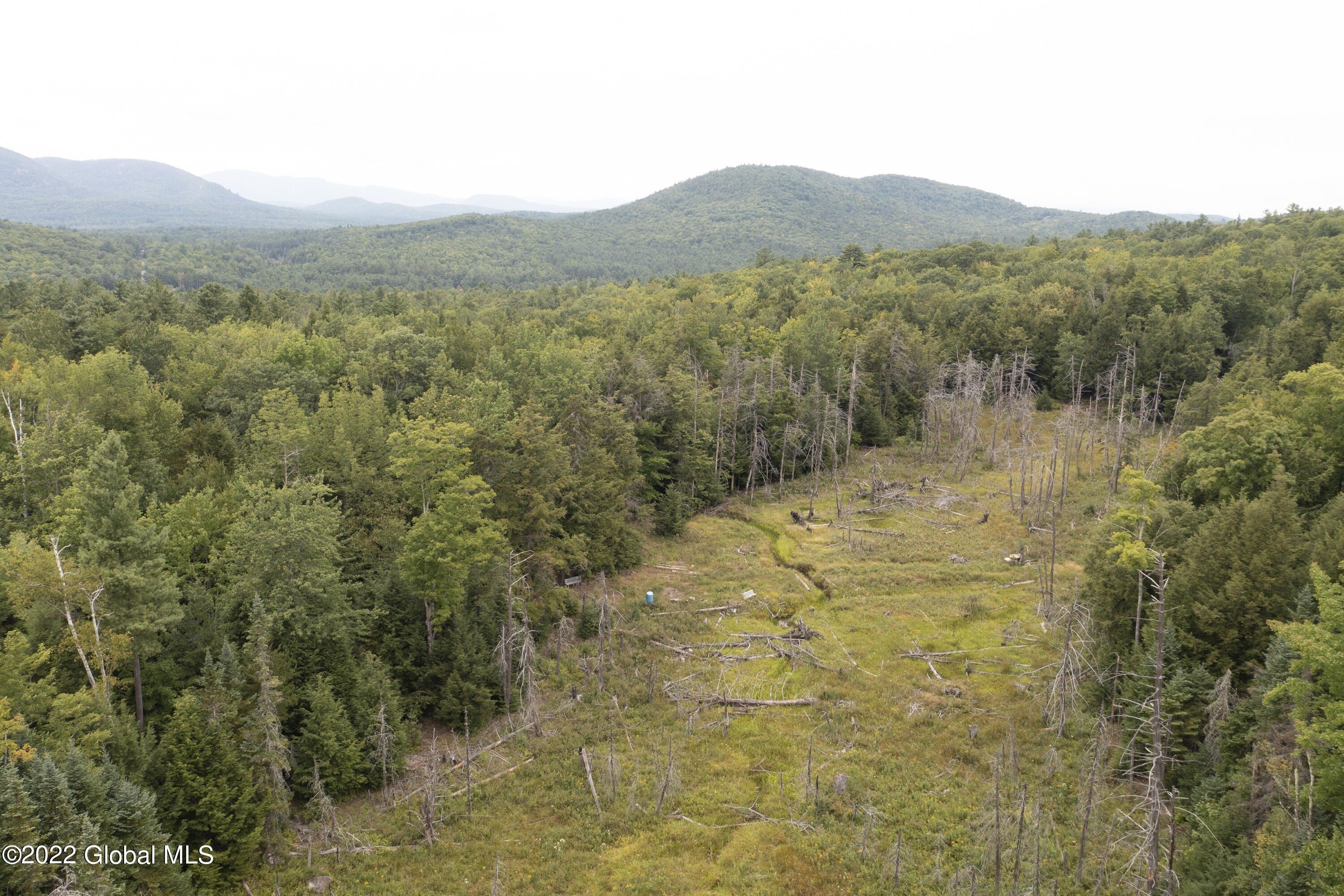 Thurman, Warren County, NY Undeveloped Land for sale Property ID