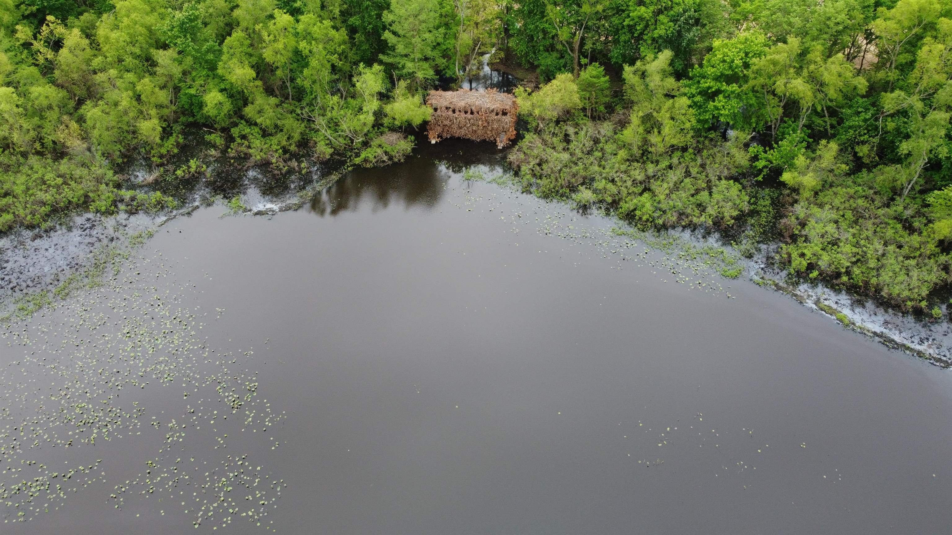 Trenton, Gibson County, TN Farms and Ranches for sale Property ID