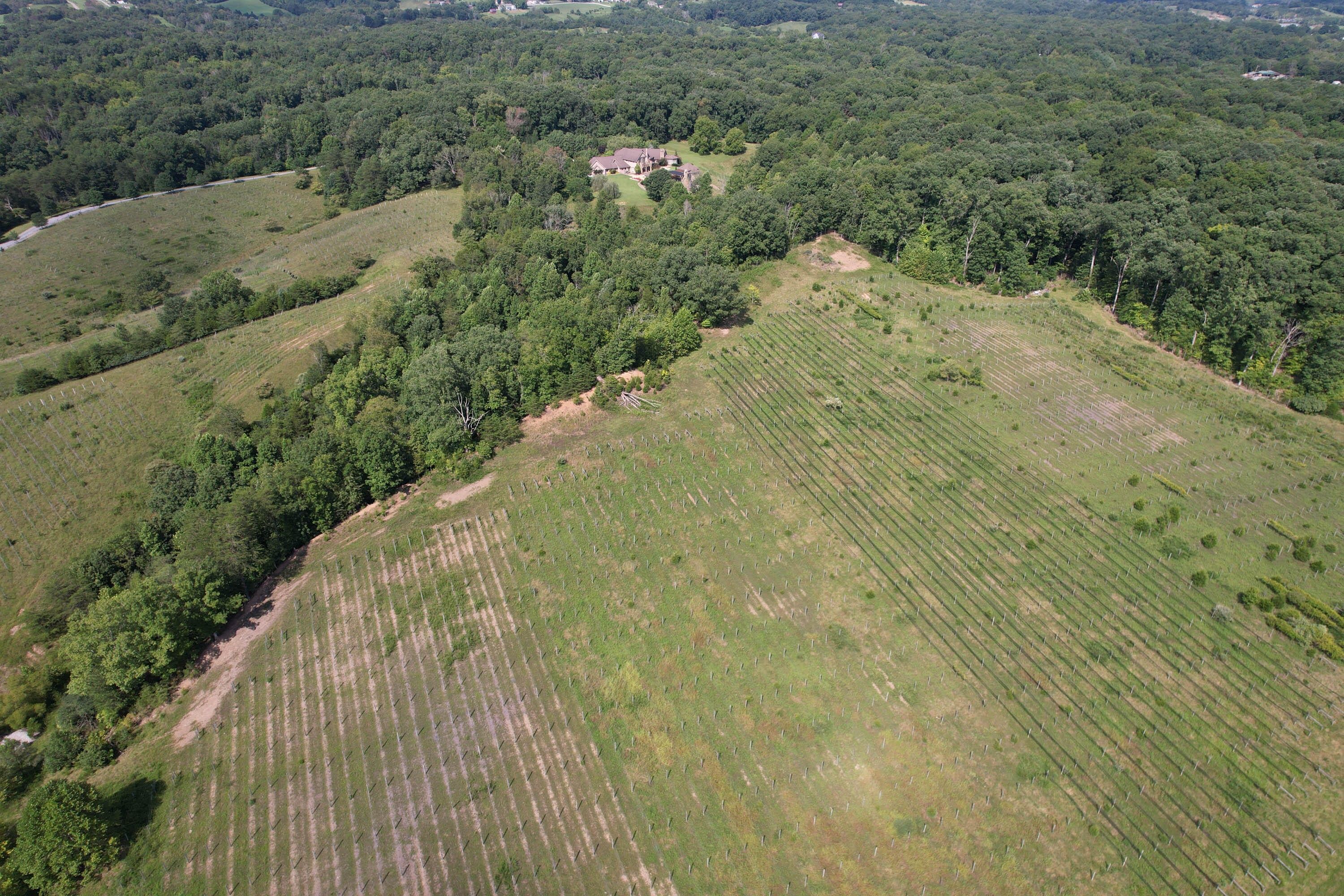 Kingsport, Sullivan County, TN Undeveloped Land for sale Property ID