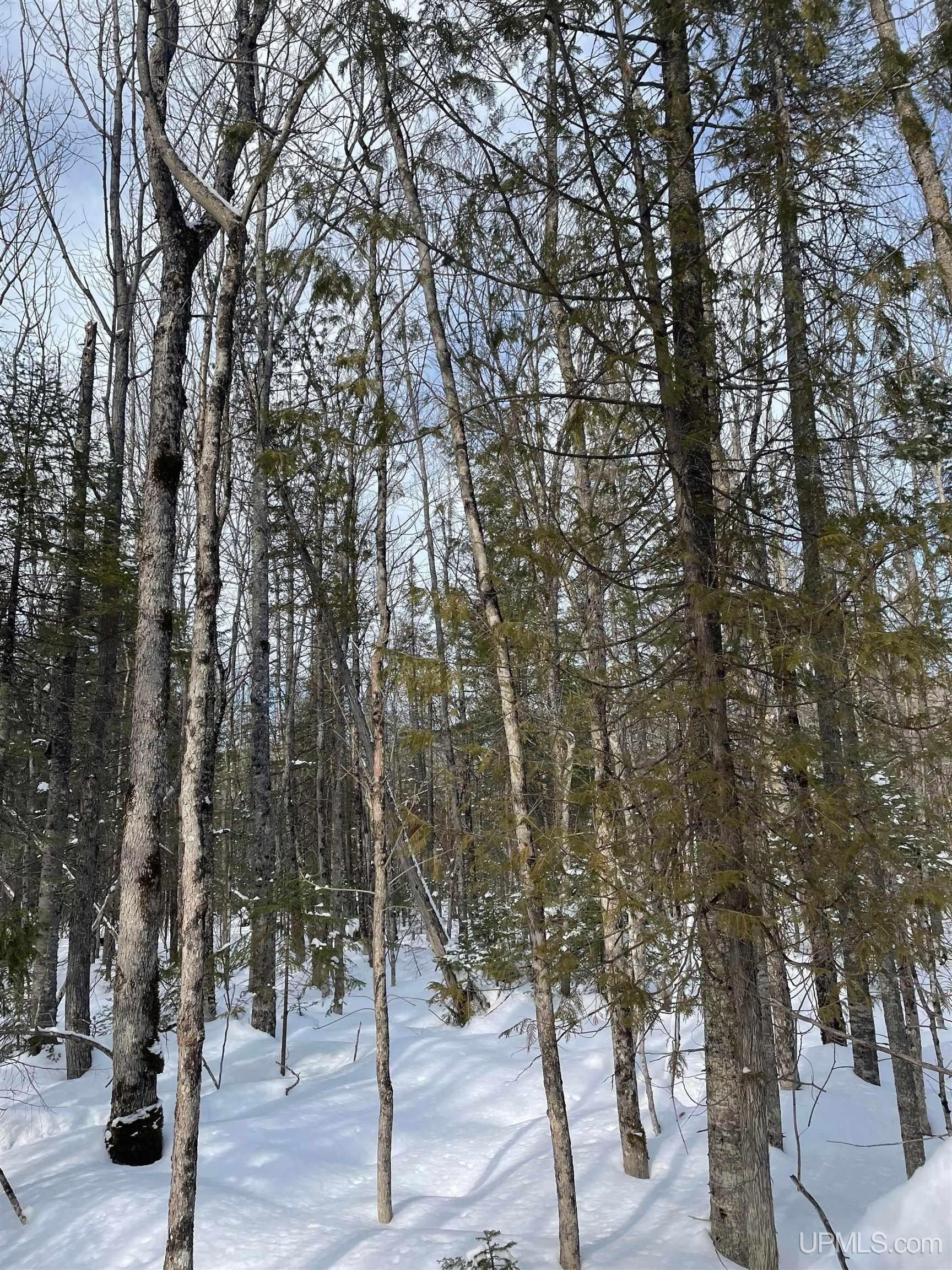 Skandia, Marquette County, MI Undeveloped Land for sale Property ID