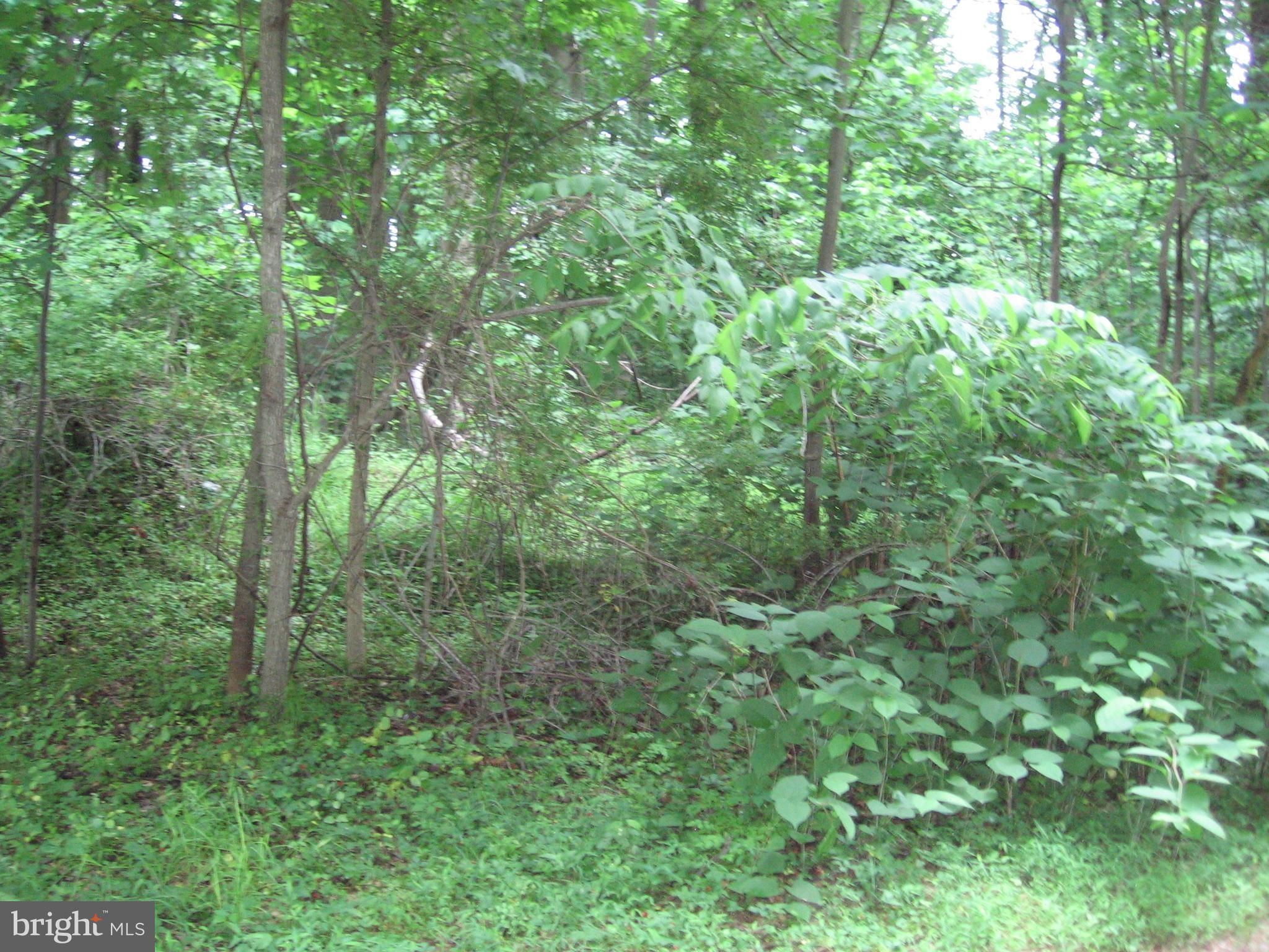 2552 Shorter Road, Gambrills, MD 21054 MLS MDAA2043066 LandWatch