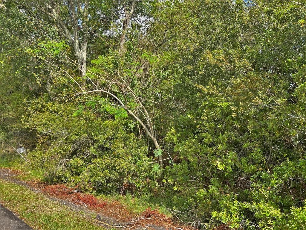 Frostproof, Polk County, FL Undeveloped Land, Homesites for sale