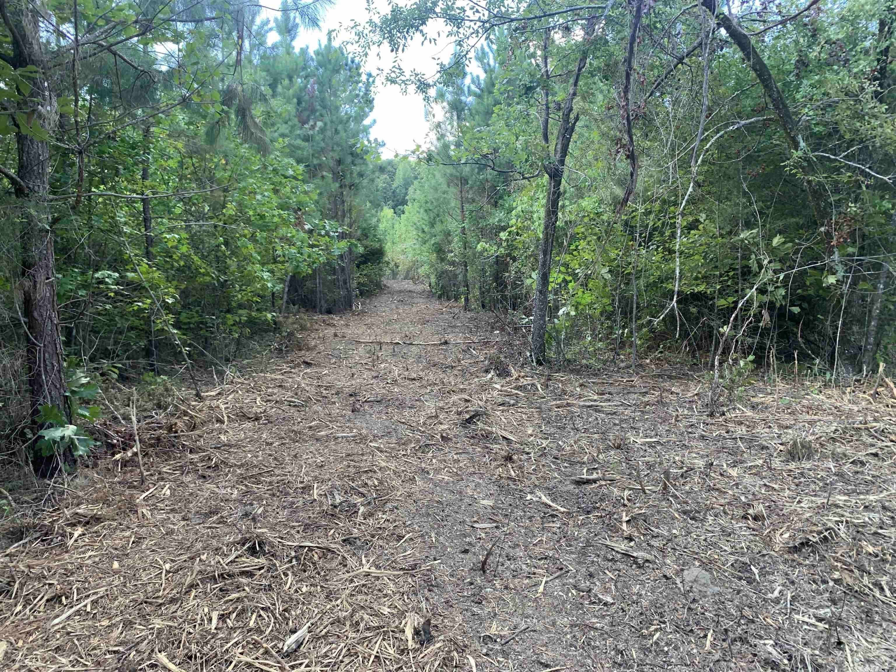 Center Hill, White County, AR Undeveloped Land for sale Property ID