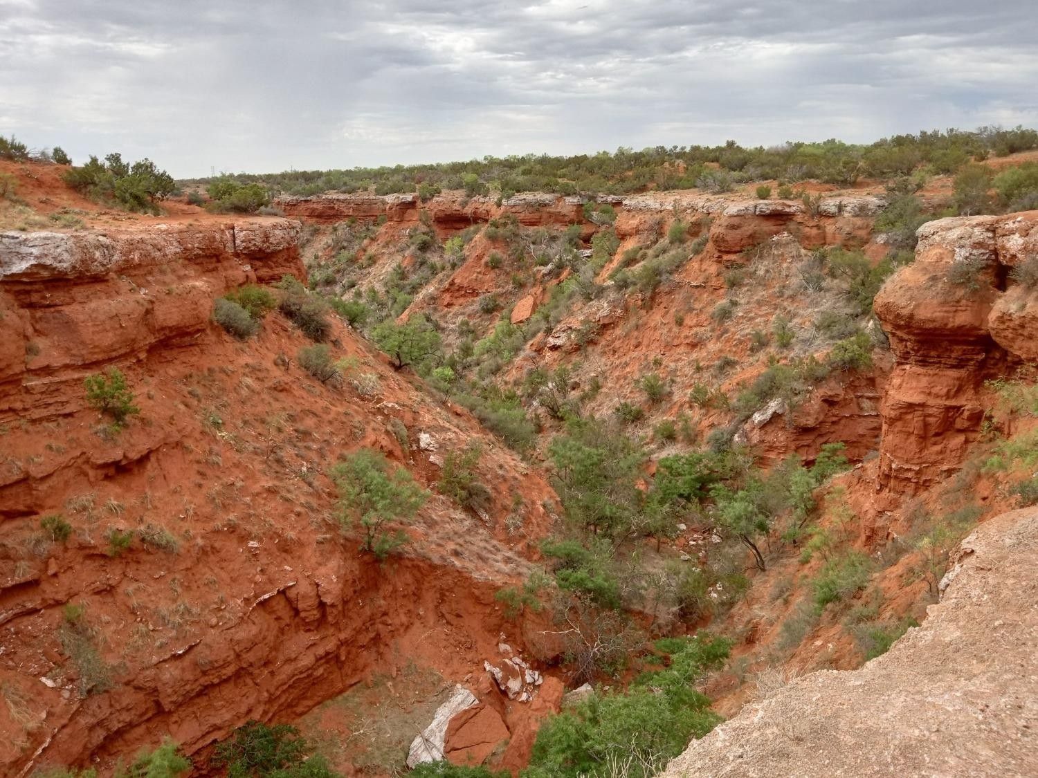 Rotan, Fisher County, TX Farms and Ranches, House for sale Property ID