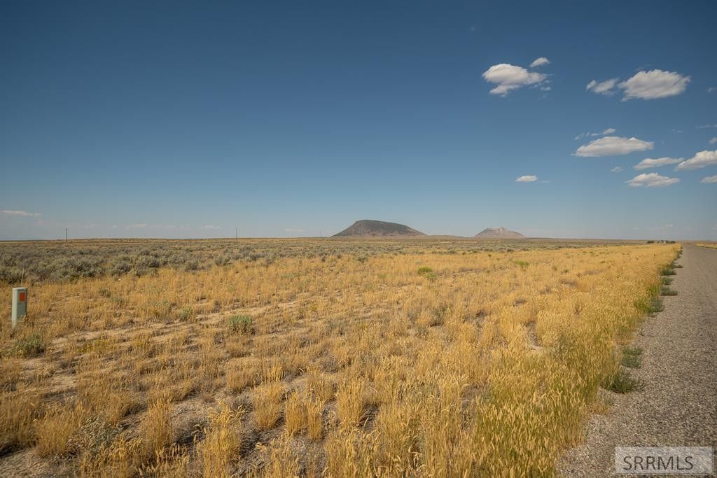 Blackfoot, Bingham County, ID Farms and Ranches for sale Property ID