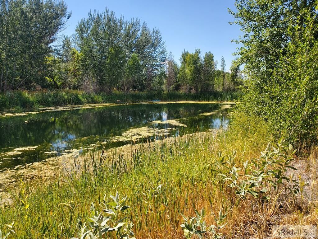 Rigby, Jefferson County, ID Undeveloped Land, Lakefront Property