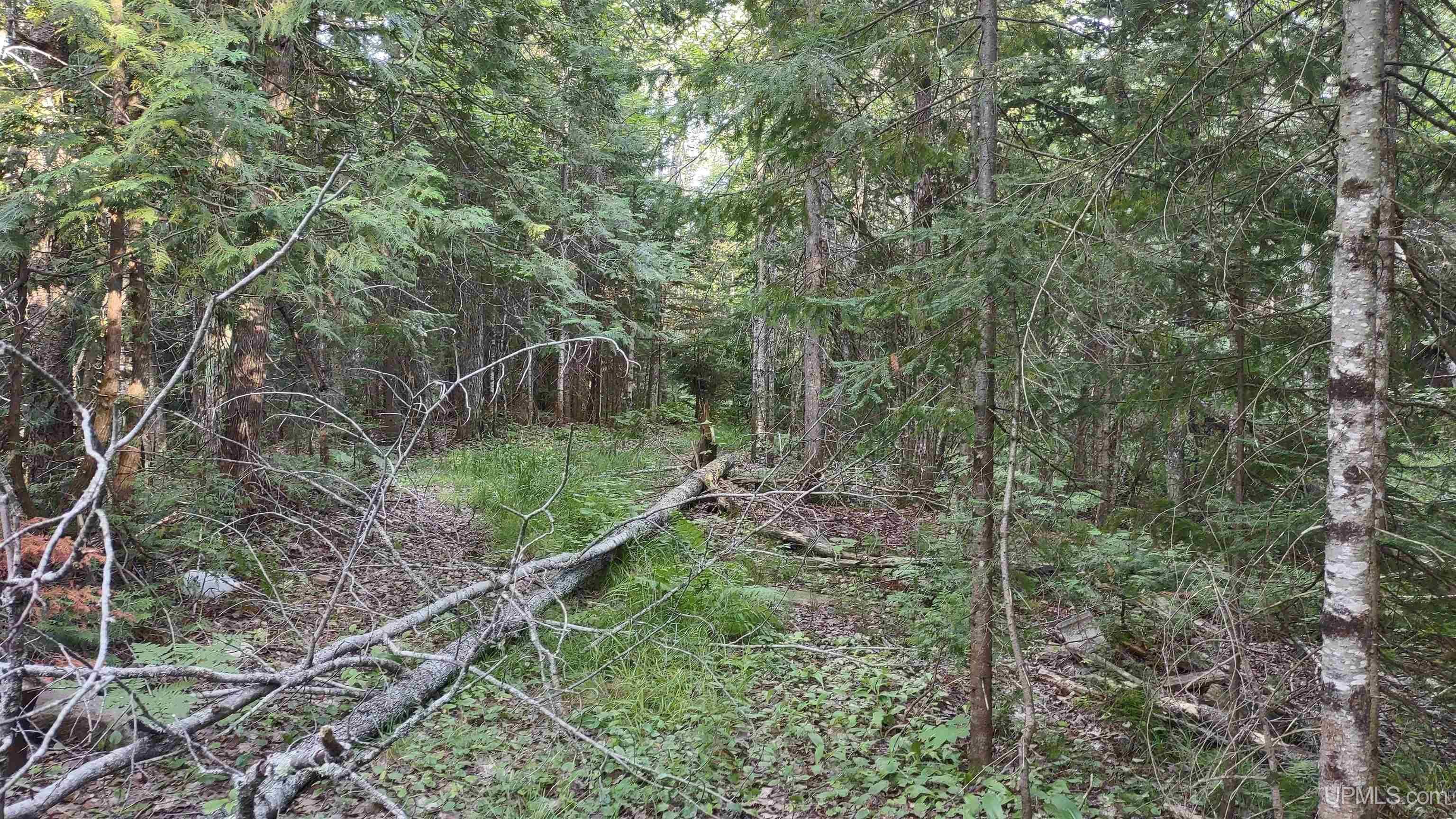 Chassell, Baraga County, MI Undeveloped Land for sale Property ID
