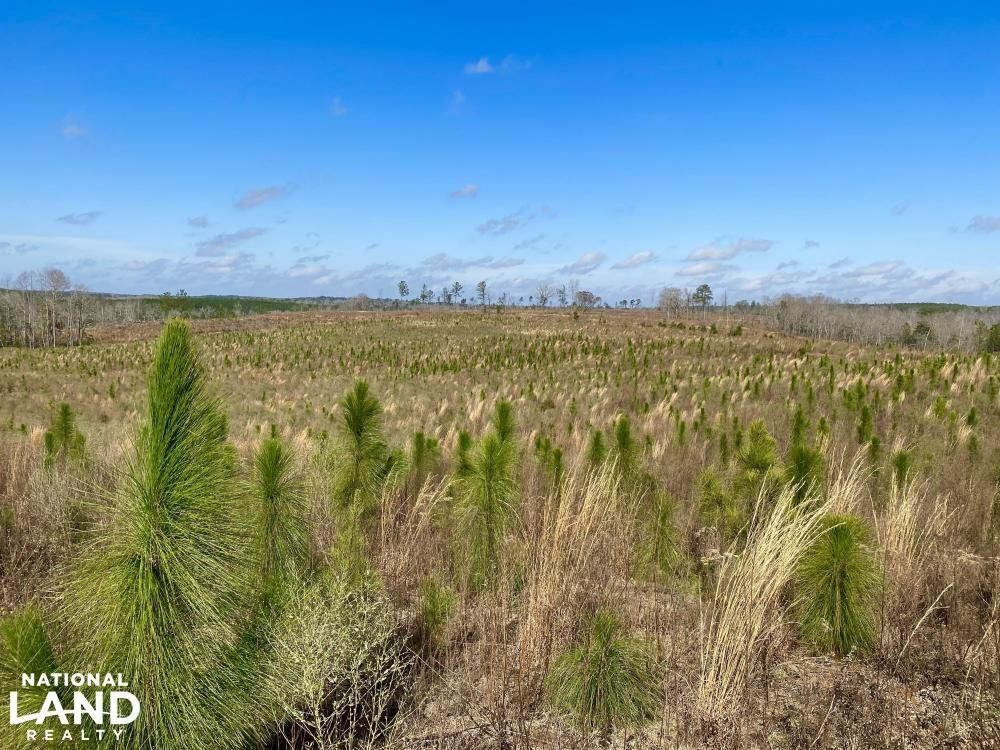 Baker Hill, Barbour County, AL Recreational Property, Timberland