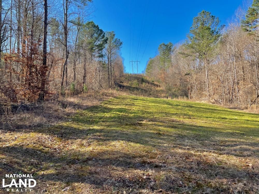 Oakman, Walker County, AL Recreational Property, Timberland Property, Hunting Property for sale