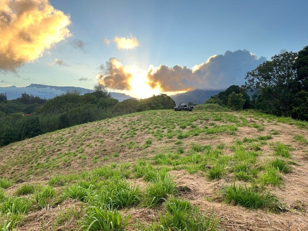 Kapaa, Kauai County, HI Undeveloped Land for sale Property ID