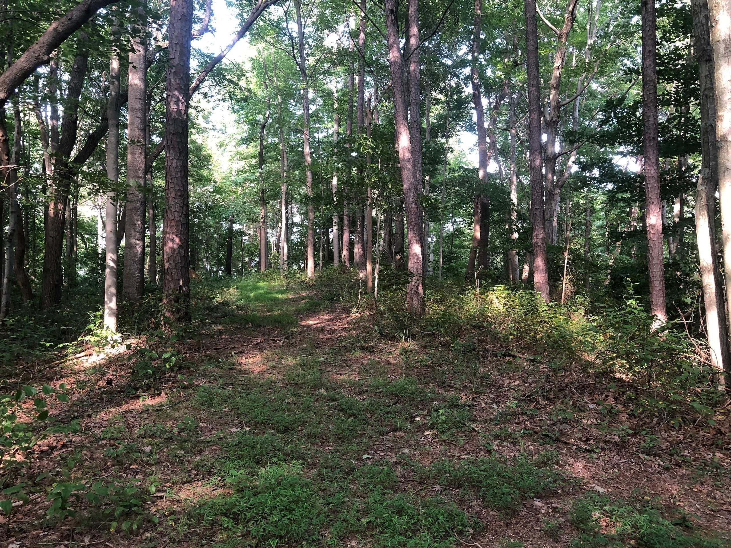 South Bloomingville, Vinton County, OH Recreational Property