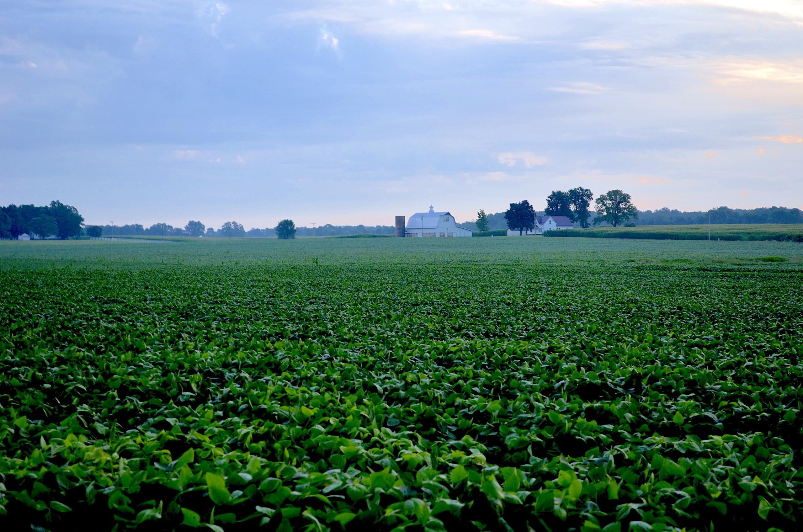 Marshfield, ster County, MO Farms and Ranches for sale Property ID