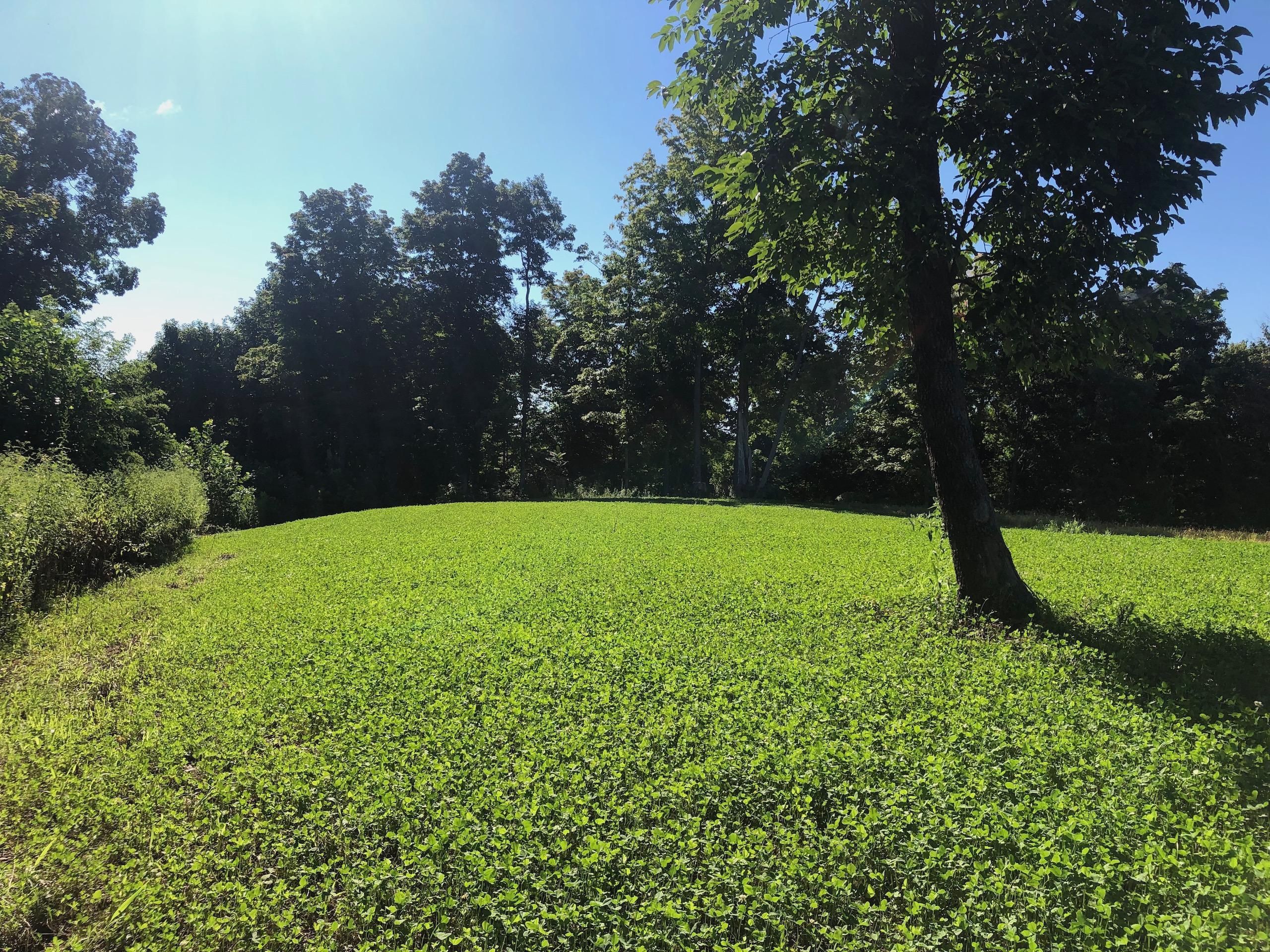 Lucasville, Scioto County, OH Recreational Property, Timberland Property, Hunting Property for