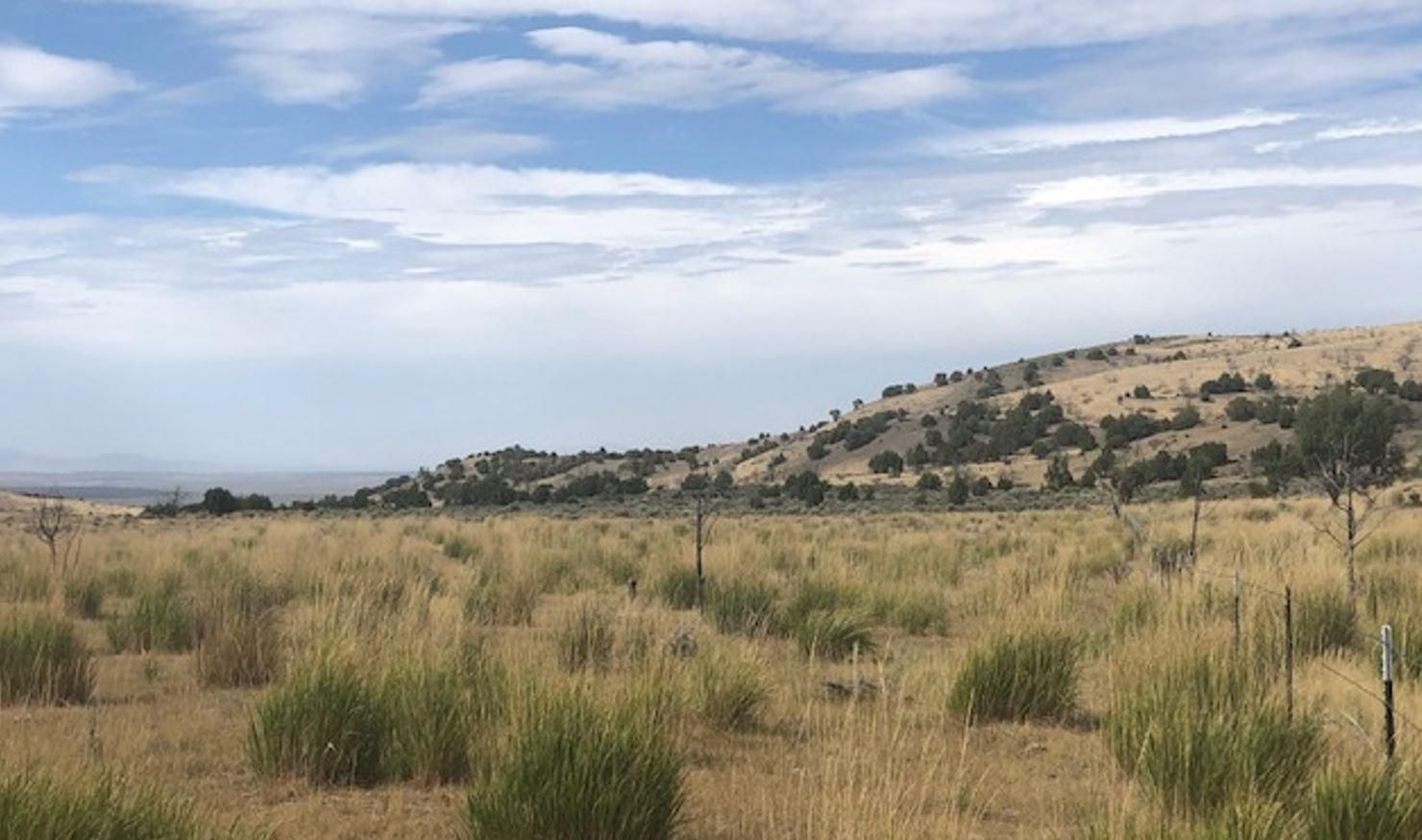 Wells, Elko County, NV Undeveloped Land for sale Property ID 414604613