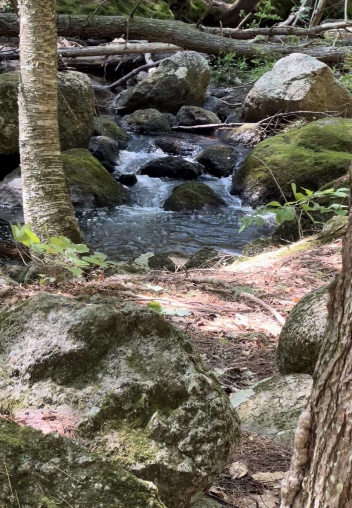 Hillsborough, Hillsborough County, NH Undeveloped Land, Homesites for